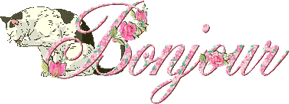 Gif animé bonjour